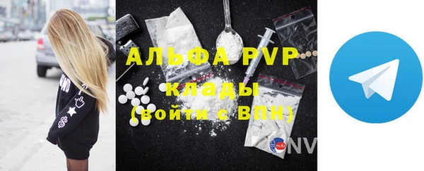 ГАЛЛЮЦИНОГЕННЫЕ ГРИБЫ Ельня