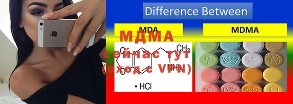 ГАЛЛЮЦИНОГЕННЫЕ ГРИБЫ Ельня