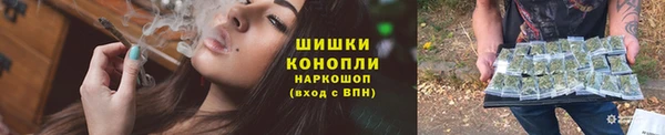 крисы Елизово