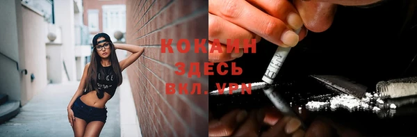 крисы Елизово