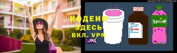 крисы Елизово