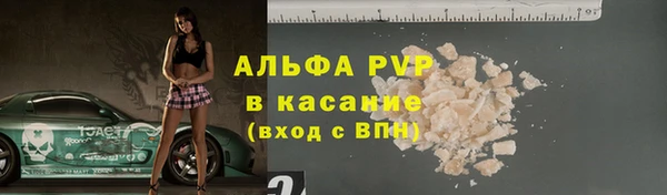 ГАЛЛЮЦИНОГЕННЫЕ ГРИБЫ Ельня