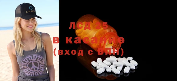 ГАЛЛЮЦИНОГЕННЫЕ ГРИБЫ Ельня
