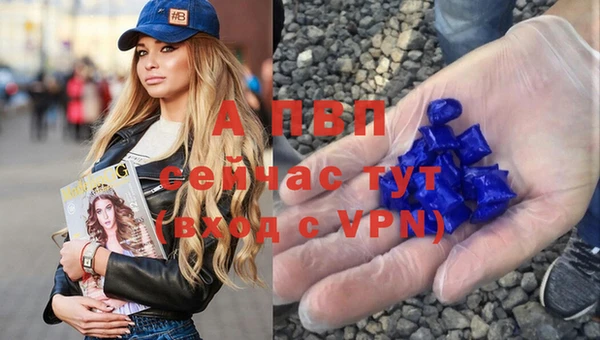 ГАЛЛЮЦИНОГЕННЫЕ ГРИБЫ Ельня