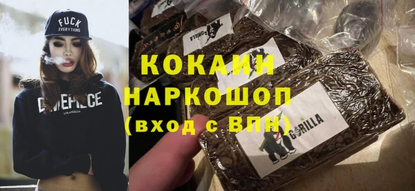 ГАЛЛЮЦИНОГЕННЫЕ ГРИБЫ Ельня