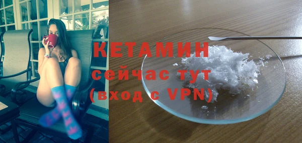 ГАЛЛЮЦИНОГЕННЫЕ ГРИБЫ Ельня