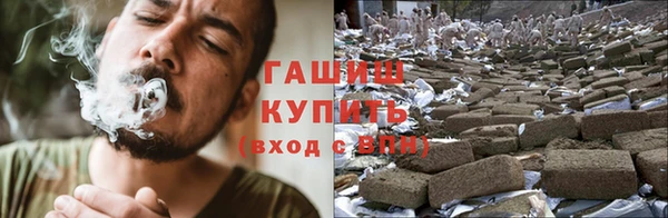 крисы Елизово