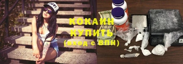 ГАЛЛЮЦИНОГЕННЫЕ ГРИБЫ Ельня