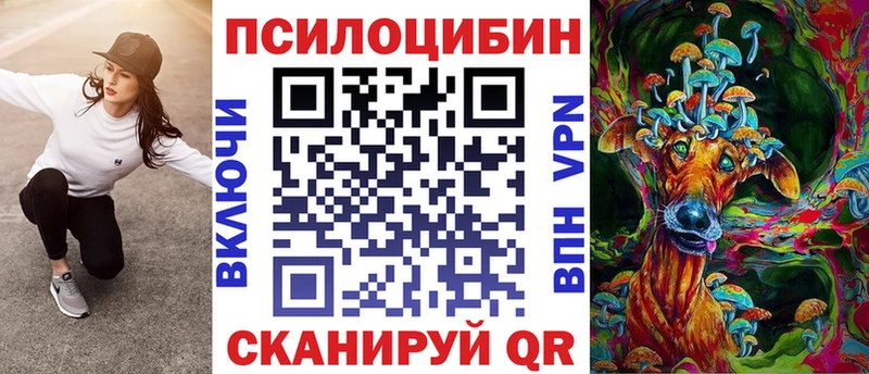 Галлюциногенные грибы Psilocybe Карталы