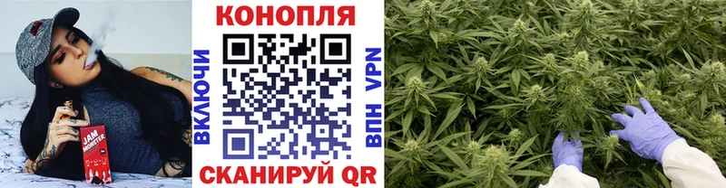 где найти   Карталы  Бошки марихуана план 